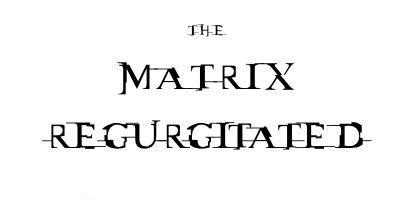 The Matrix Regurgitated - The Fellowship of the Ping